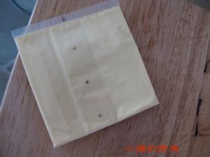 ֥ʿ�������������ڼ�Ҳ����������KFC��������ͣ�