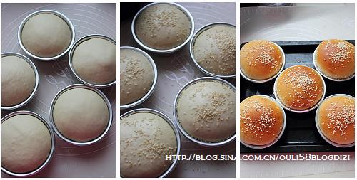 �����������������Ͳ��ף�