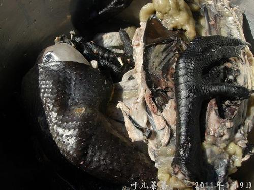 �ڼ�ɽҩ�ҵ���������ͥʳ��-�������գ�