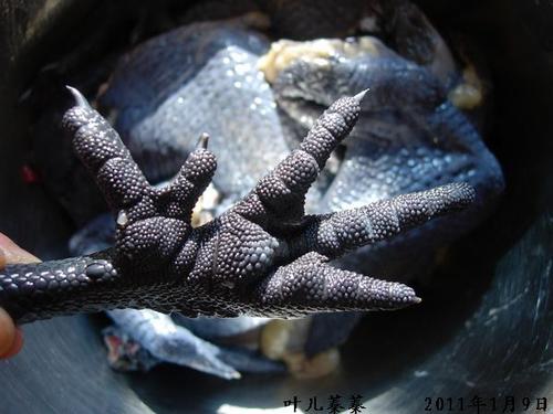 �ڼ�ɽҩ�ҵ���������ͥʳ��-�������գ�