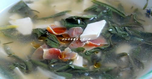 ݻ�˶�����������