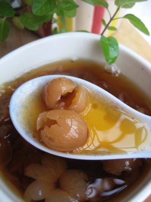 ��Բ������������