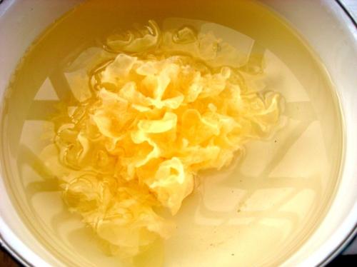 ��Բ������������