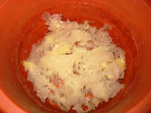 ��Բ������������