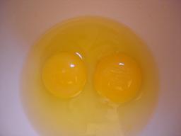 ��Ƭ�����������