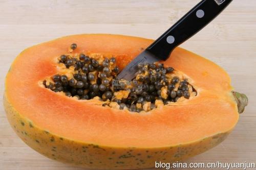 ľ�ϱ�����ѩ�������