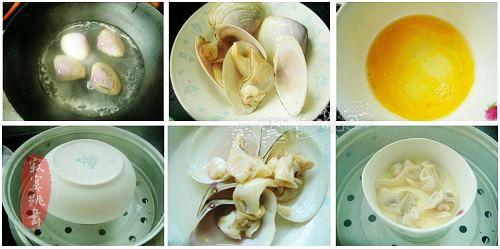 芙蓉蒸海蚌的做法