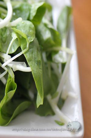 ��ë�˶�����������