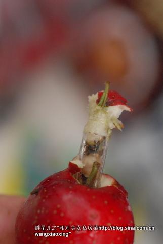 ɽ�������������