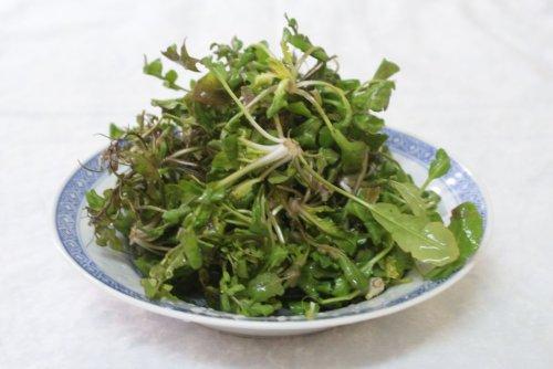 荠菜笋片羹的做法