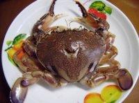 ΢��¯�Ϲ���з������