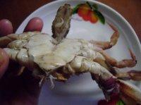 微波炉南瓜蒸蟹的做法