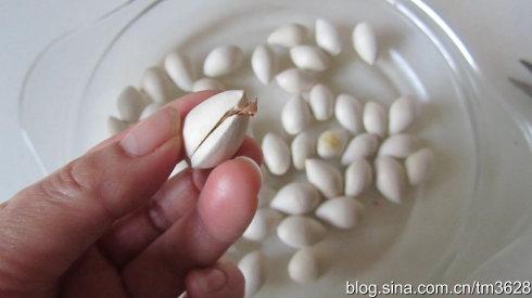 微波炉盐焗银杏的做法