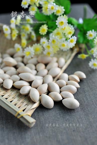 ΢���׹�������