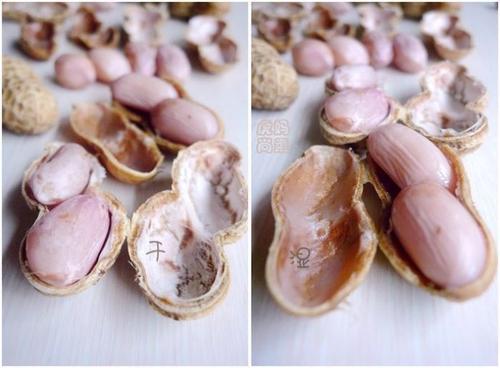 ΢������������