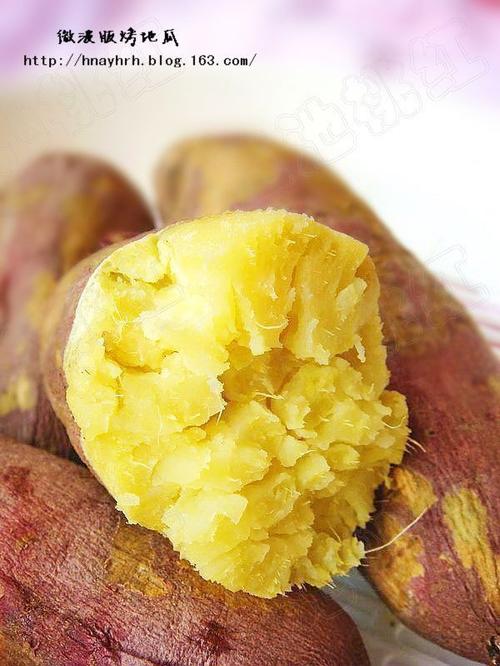 ΢��¯���عϵ�����