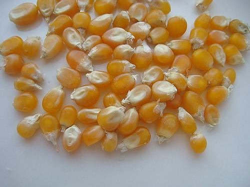 ΢��¯���׻�������