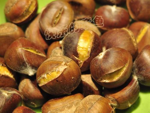 ΢��¯���ӵ�����