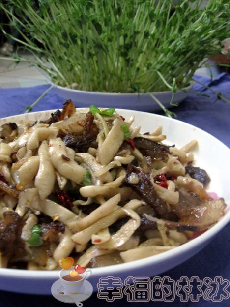 ����ͷ�⳴�ܲ��ɵ�����