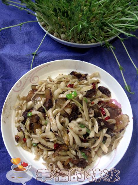 ����ͷ�⳴�ܲ��ɵ�����