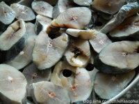 ������ˬѬ���������