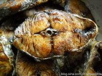 ������ˬѬ���������