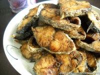 ������ˬѬ���������