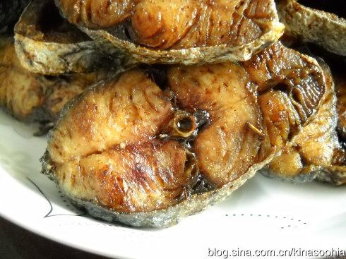 ������ˬѬ���������