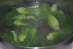 ����ʨ��ͷ������