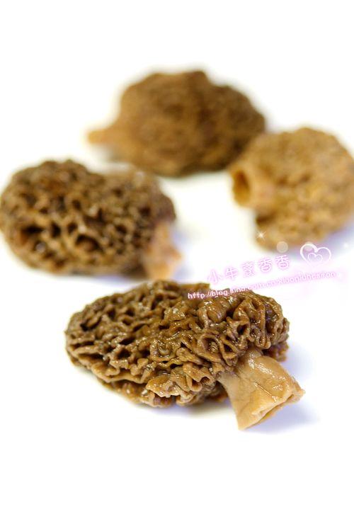 ��Ǿ����Źǵ�����