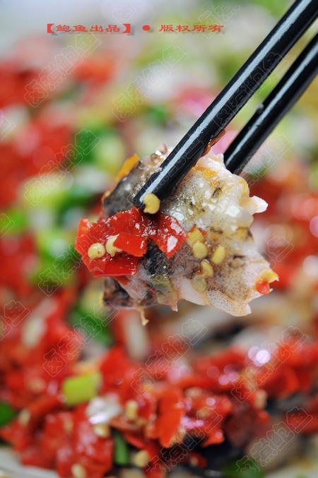 ˫ɫ�罷��ͷ������