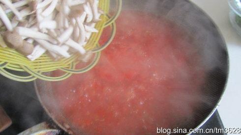 ����Ģ����Ƭ������