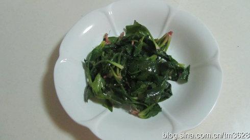 ����Ģ����Ƭ������