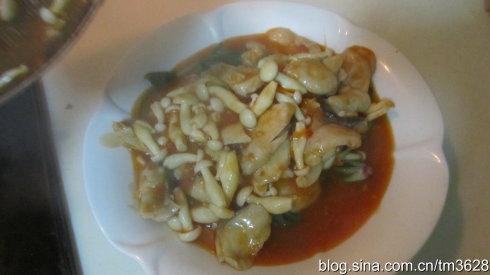 ����Ģ����Ƭ������