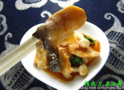 ����Ģ����Ƭ������