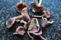 �칽�������Źǵ�����