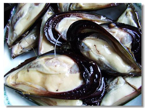 ���؟h�ݱ�������