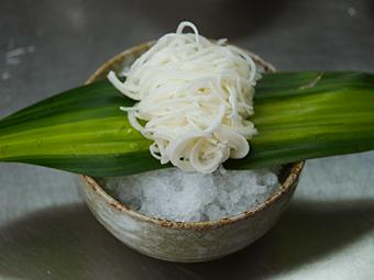 ����ɽҩϸ˿��������