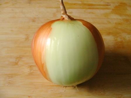 �绨����Ƥ���������