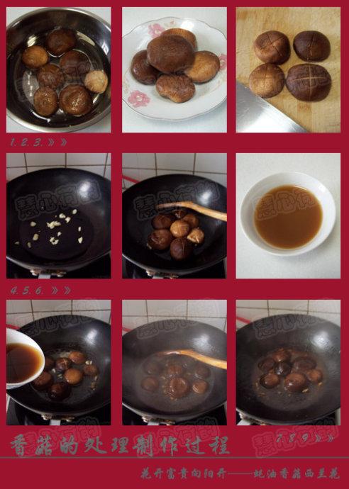 ����㹽������������