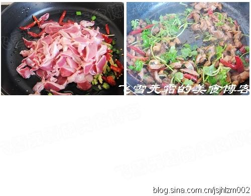 �������ӵ�����