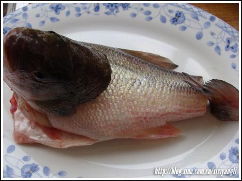 �罷�������������