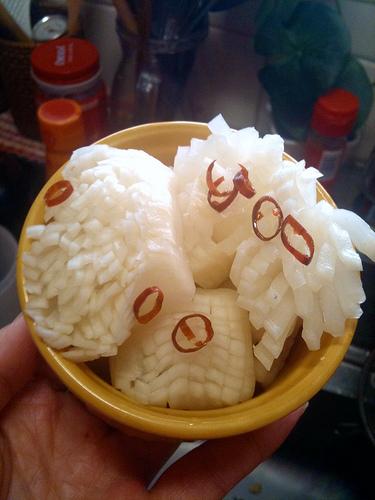 2011��ʽ��˵�����