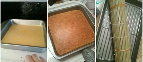 2011��ʽ��˵�����