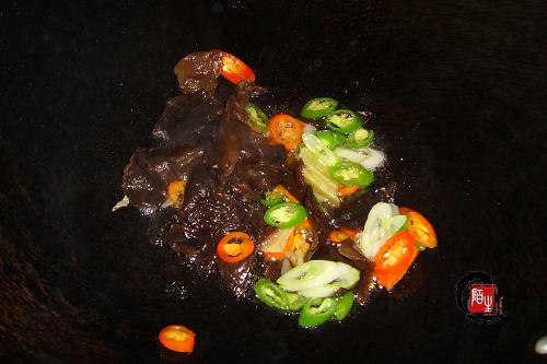 ɽҩľ��������