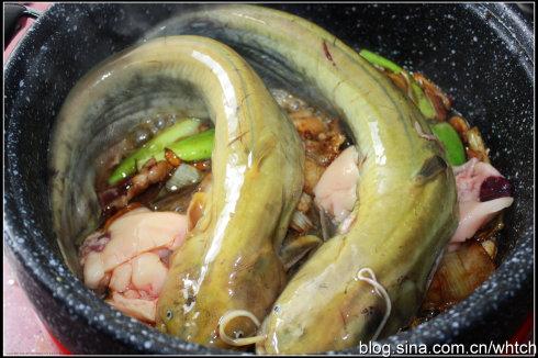 鲶鱼茄子煲的做法