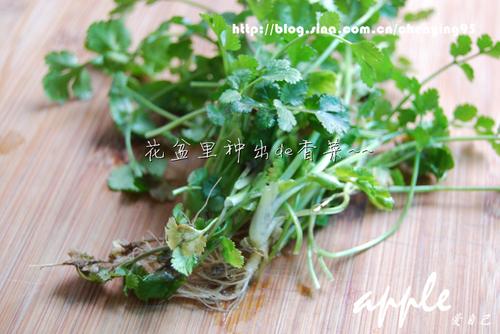 �ɹ���Ϻ����������