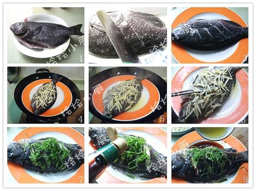 ������ë�������