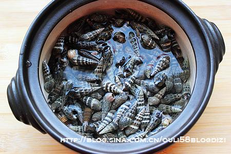 盐水煮海锥的做法