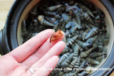 盐水煮海锥的做法